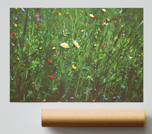 Springtime Flowers Greenery Print
