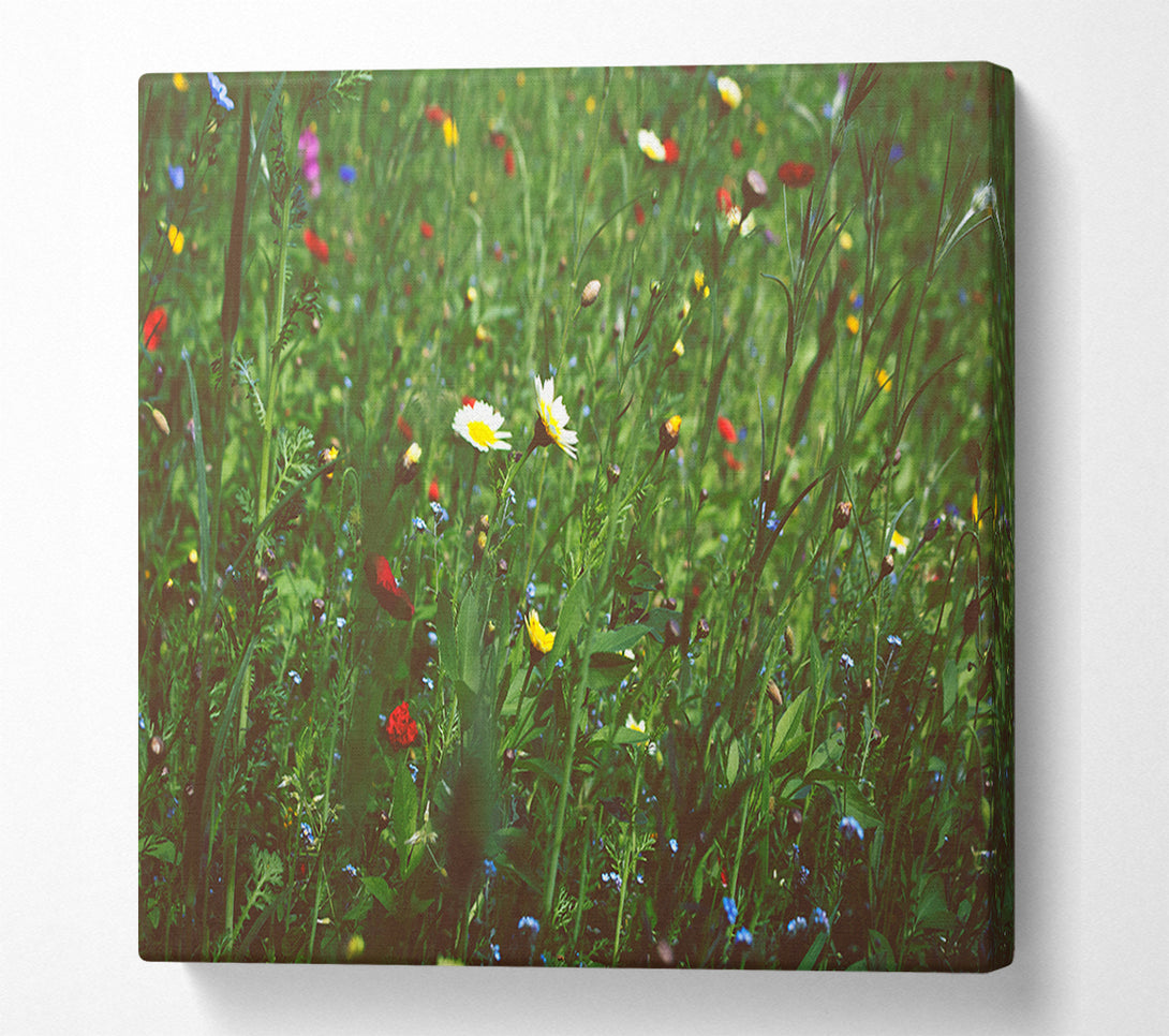  A Canvas Print of Springtime flowers greenery Canvas Wall Art