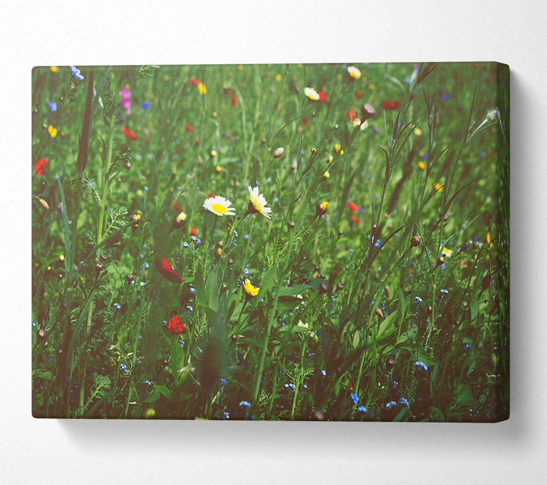  A Canvas Print of Springtime flowers greenery Canvas Wall Art