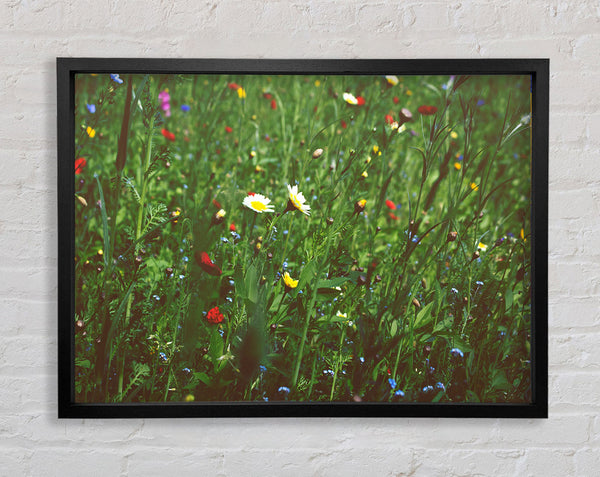 Springtime flowers greenery Framed Print