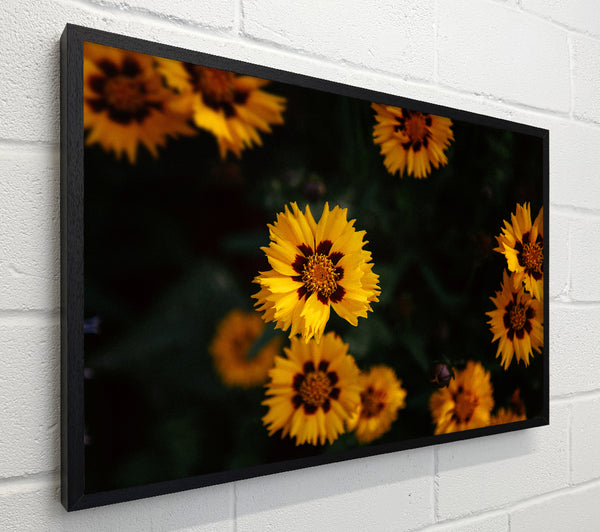 Yellow flowers in the dark