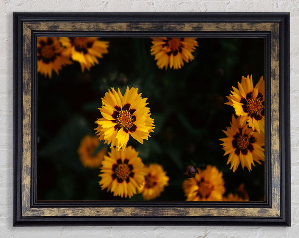 Yellow flowers in the dark Framed Print