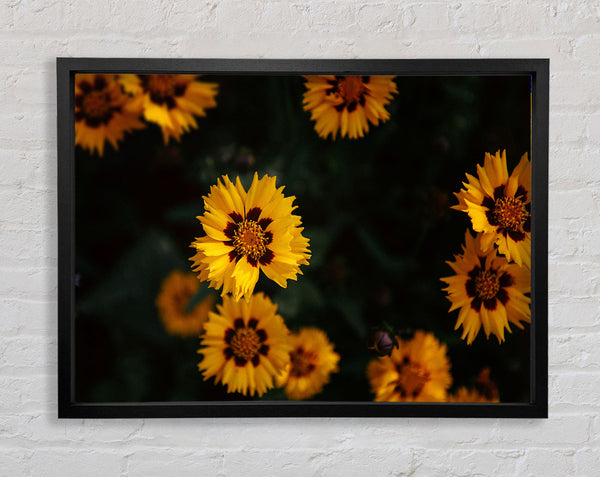 Yellow flowers in the dark Framed Print