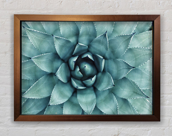 Green cool Zen plant Framed Print