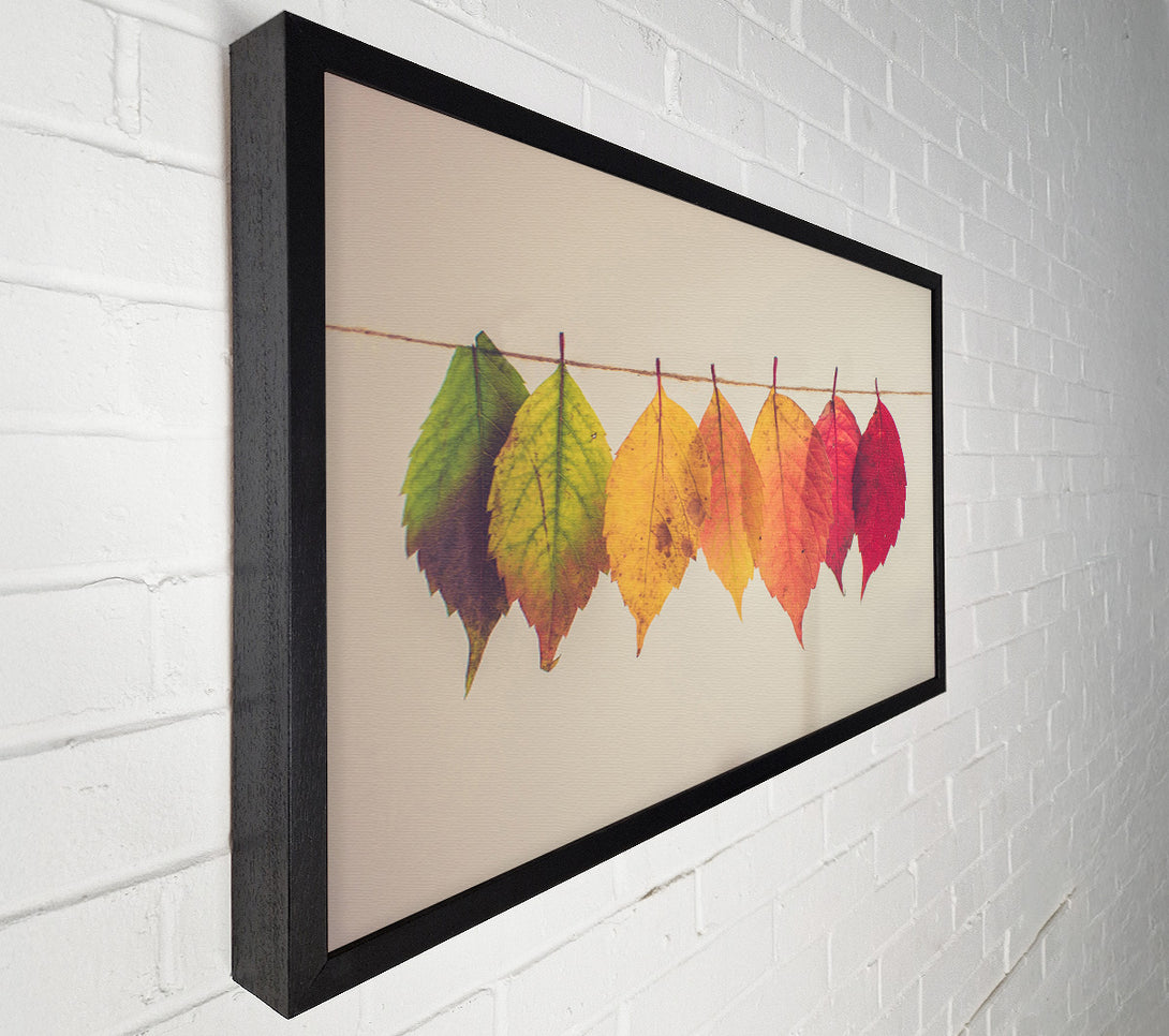  A Canvas Print of Summer to spring leaves Canvas Wall Art