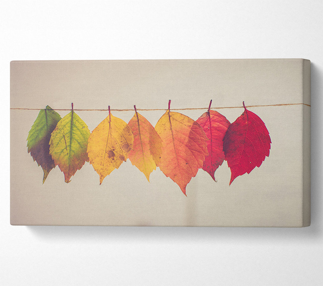  A Canvas Print of Summer to spring leaves Canvas Wall Art
