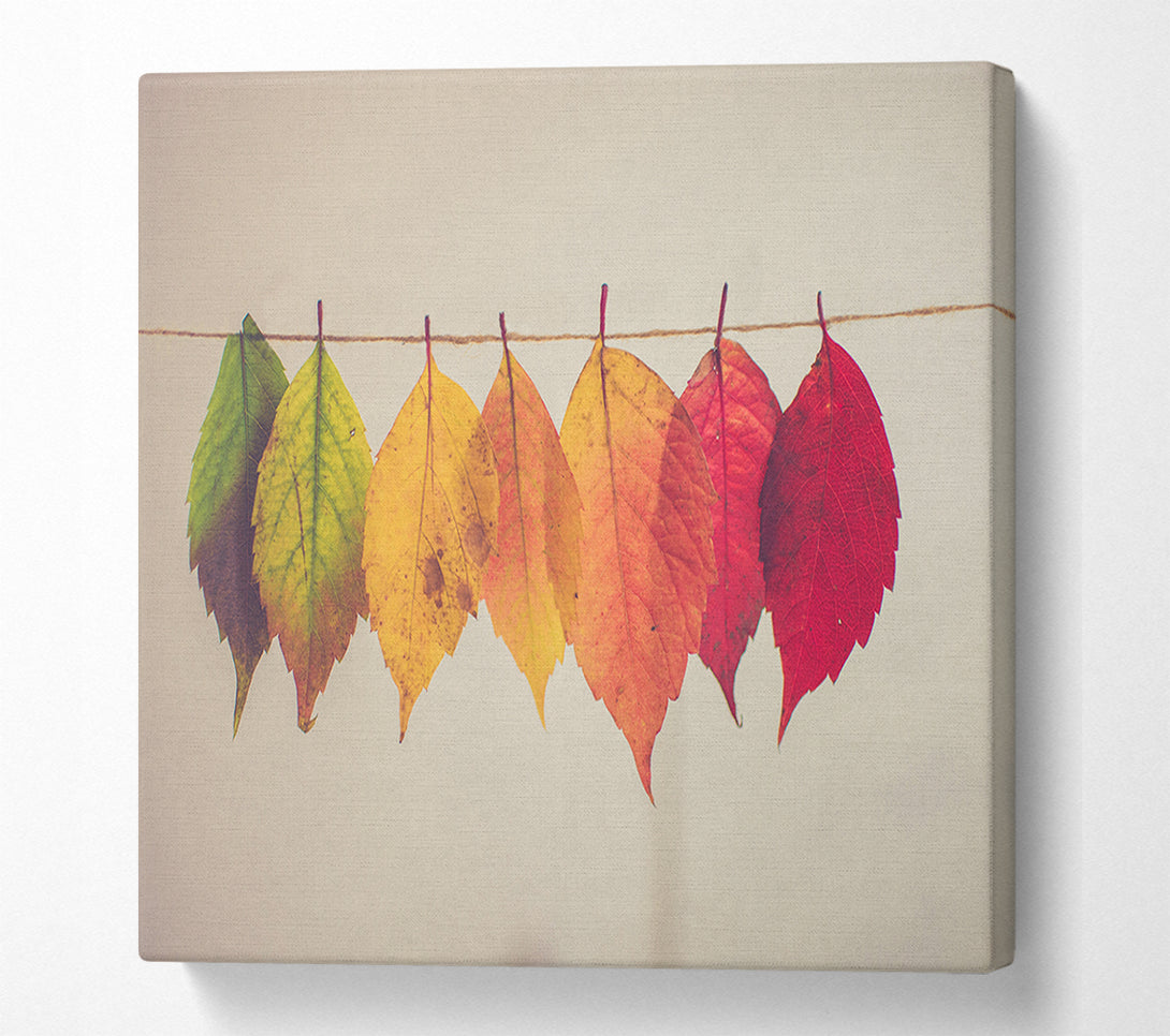  A Canvas Print of Summer to spring leaves Canvas Wall Art
