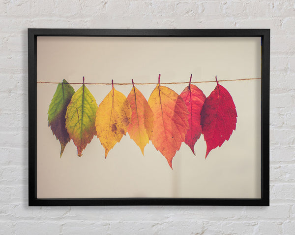 Summer to spring leaves Framed Print