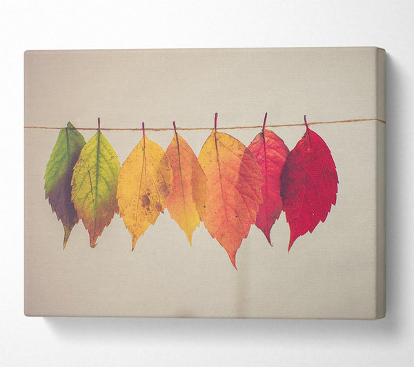  A Canvas Print of Summer to spring leaves Canvas Wall Art