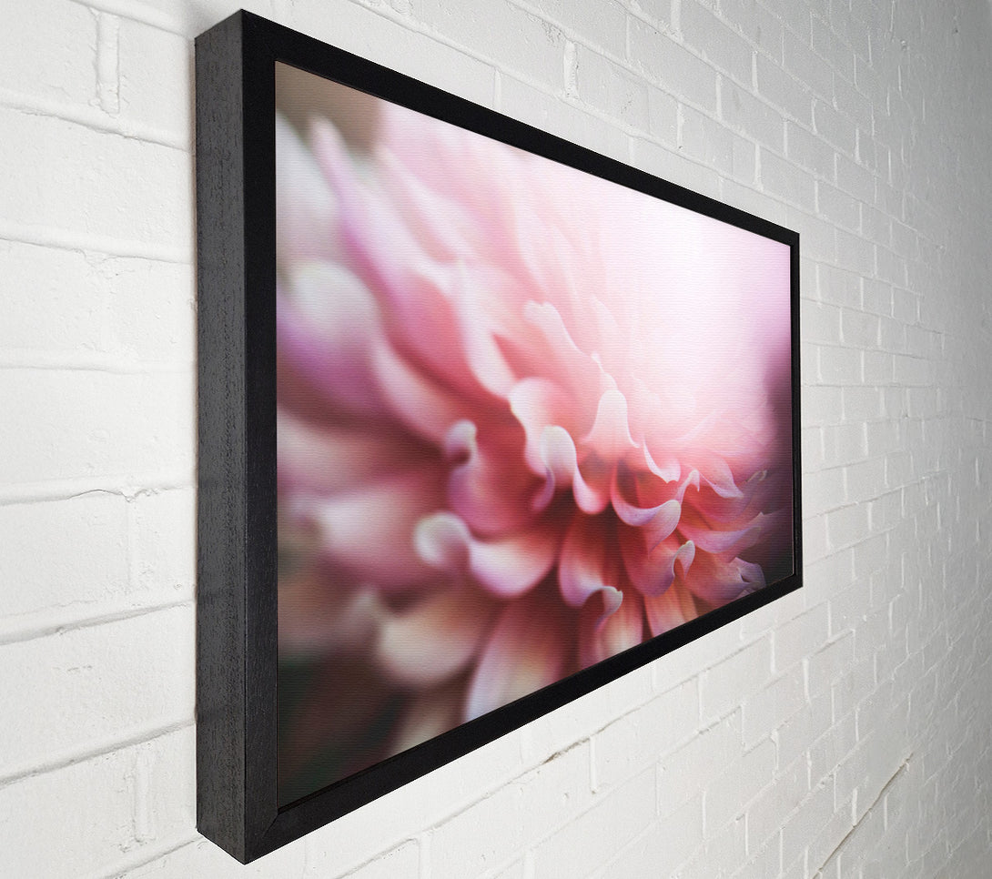  A Canvas Print of pink flower opening inside Canvas Art