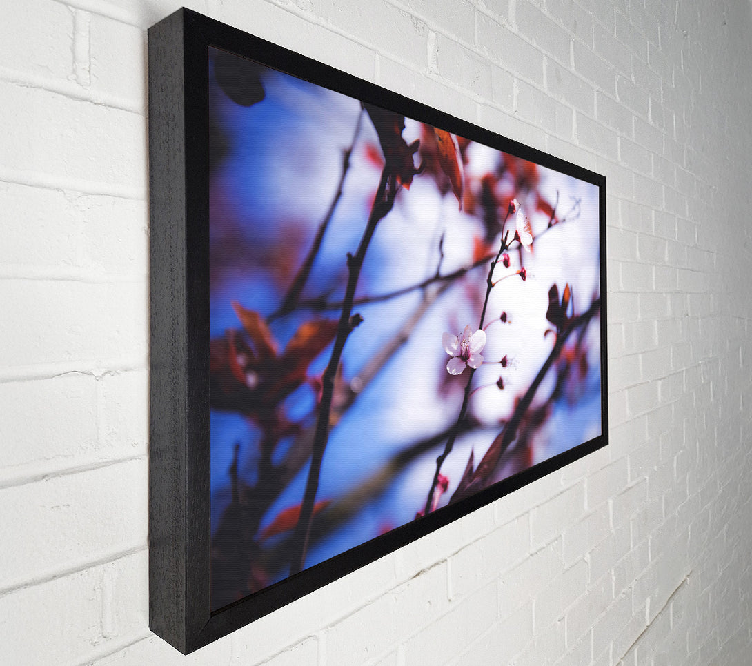  A Canvas Print of Tree blossom last standing Canvas Print