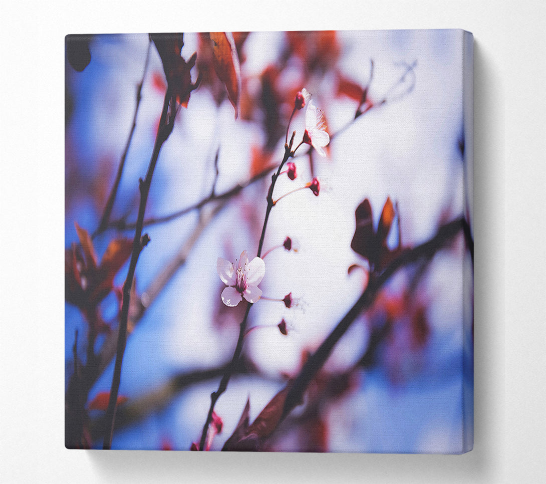  A Canvas Print of Tree blossom last standing Canvas Print