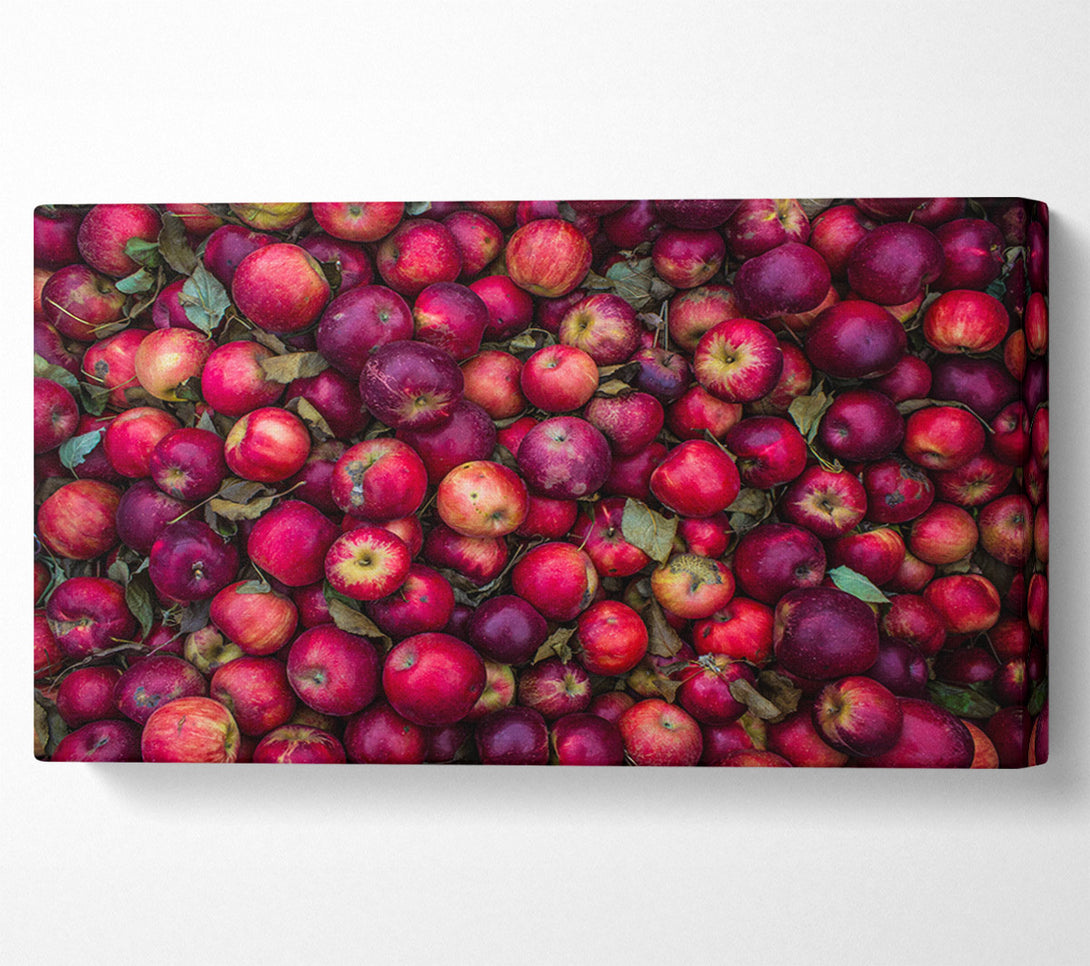  A Canvas Print of Collection of apples Canvas Wall Art