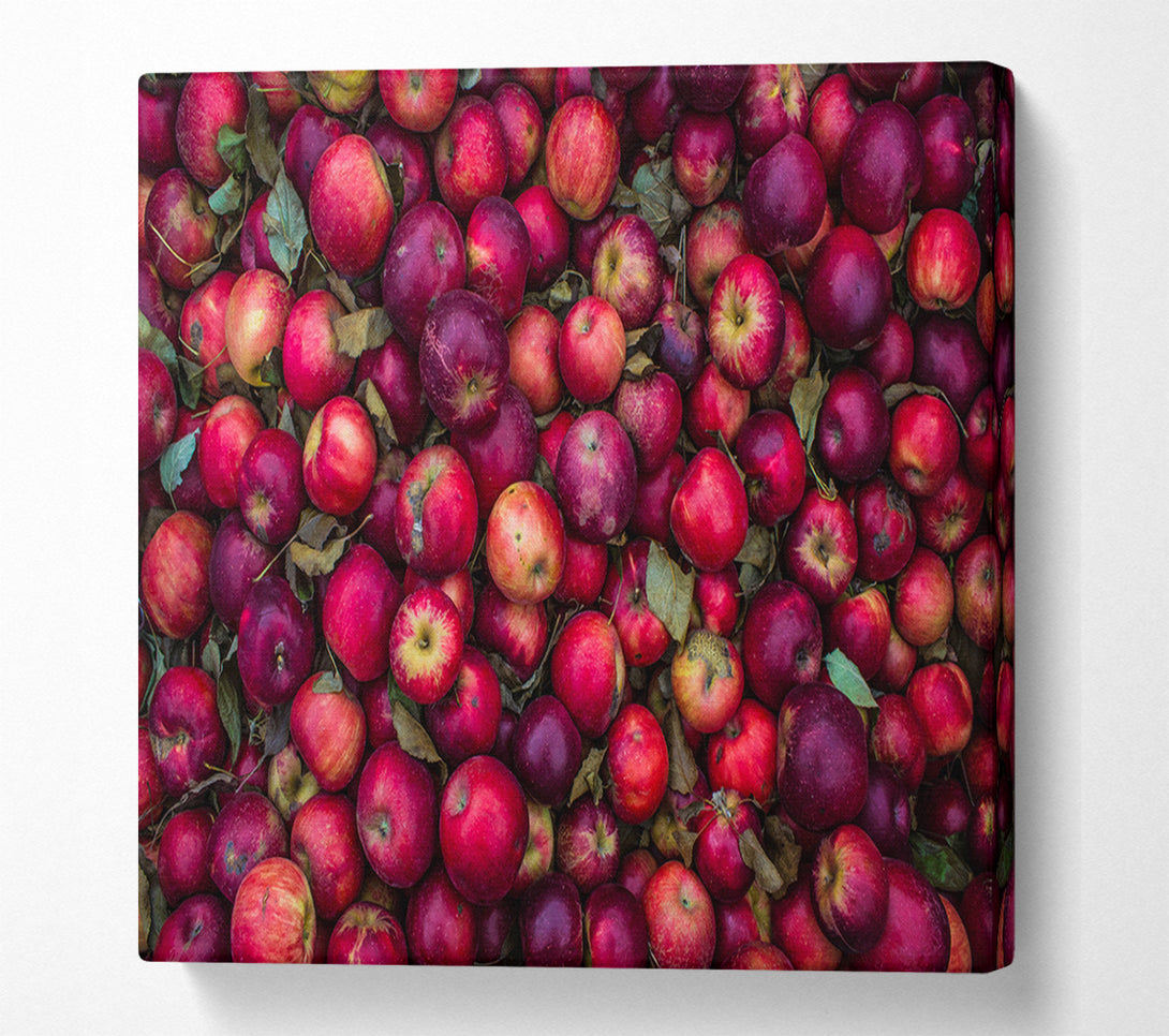  A Canvas Print of Collection of apples Canvas Wall Art