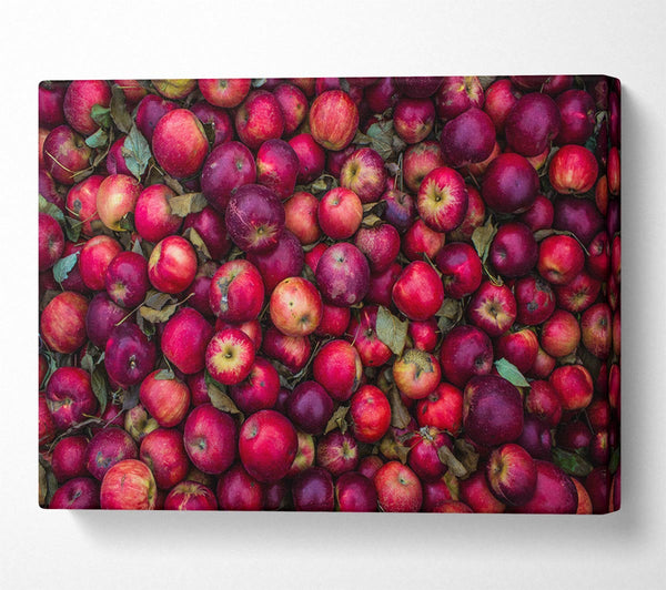  A Canvas Print of Collection of apples Canvas Wall Art