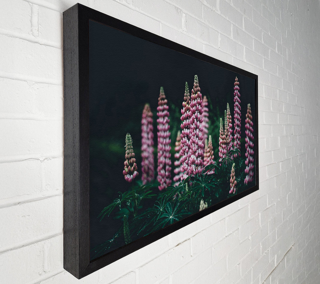  A Canvas Print of Loopins standing tall above the undergrowth Canvas Art