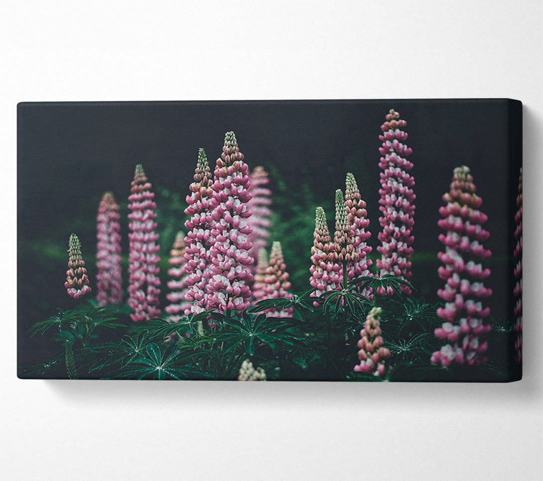  A Canvas Print of Loopins standing tall above the undergrowth Canvas Art