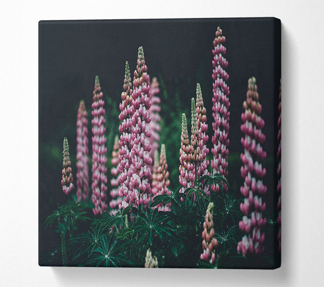  A Canvas Print of Loopins standing tall above the undergrowth Canvas Art