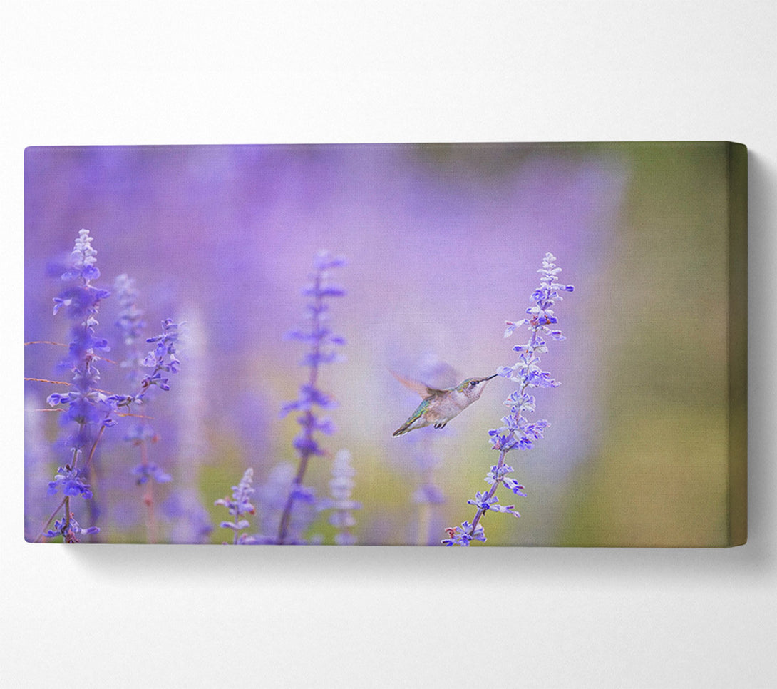  A Canvas Print of Humming bird feeding time Canvas Wall Art