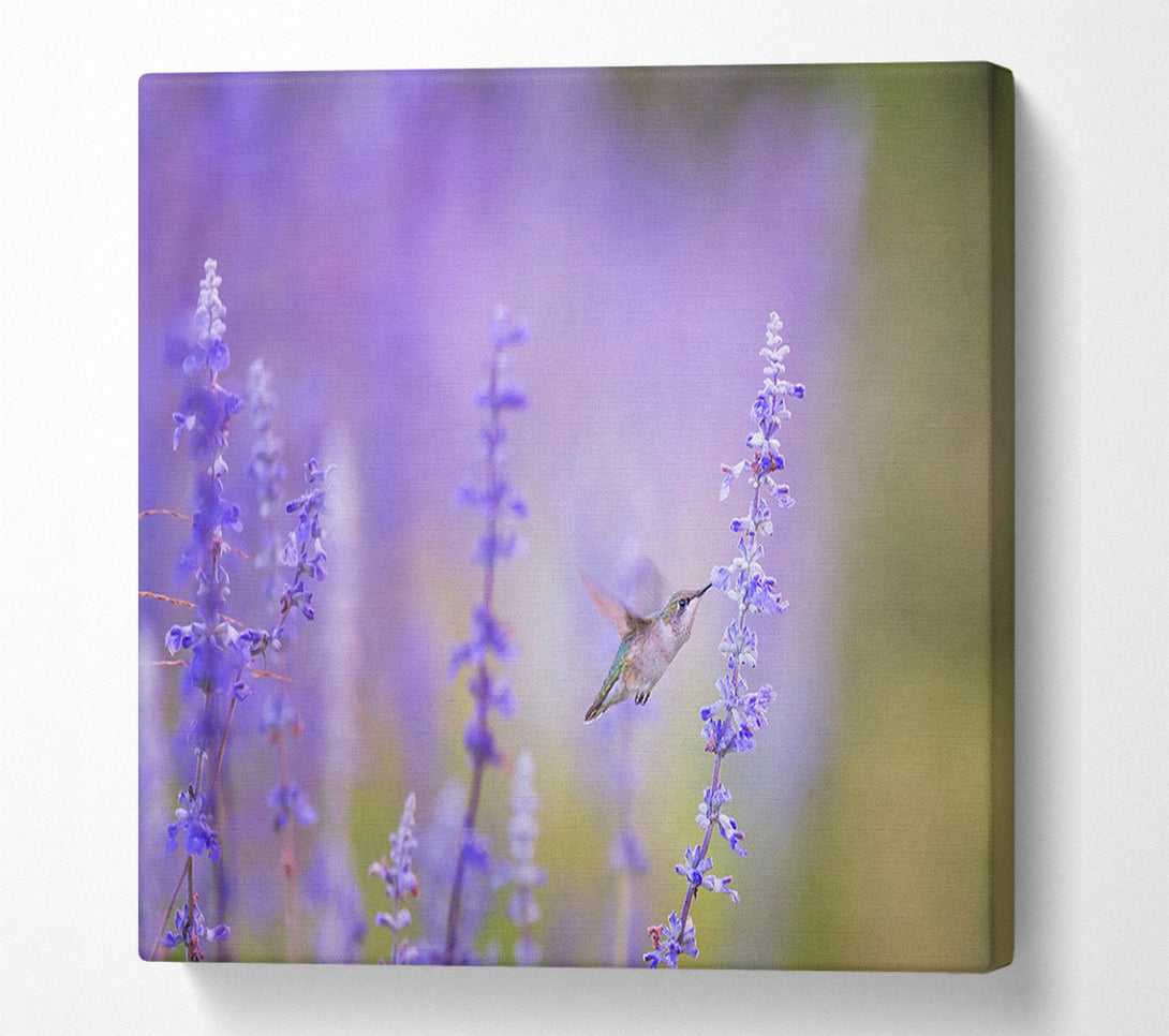  A Canvas Print of Humming bird feeding time Canvas Wall Art
