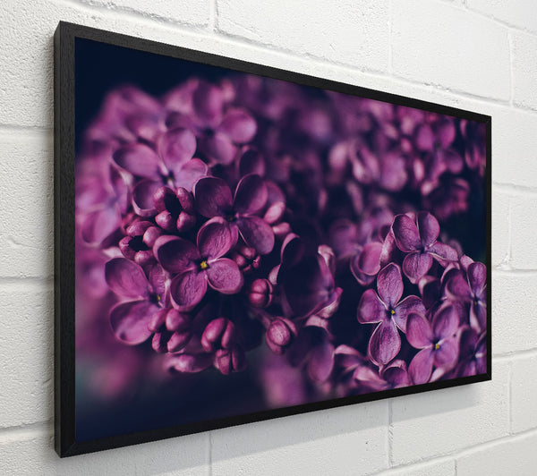 Minature purple flowers