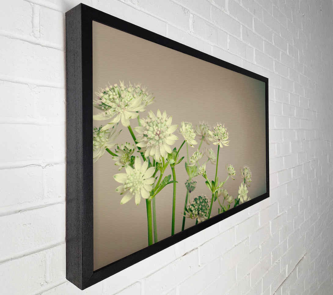  A Canvas Print of White flowes on the grey Canvas Art