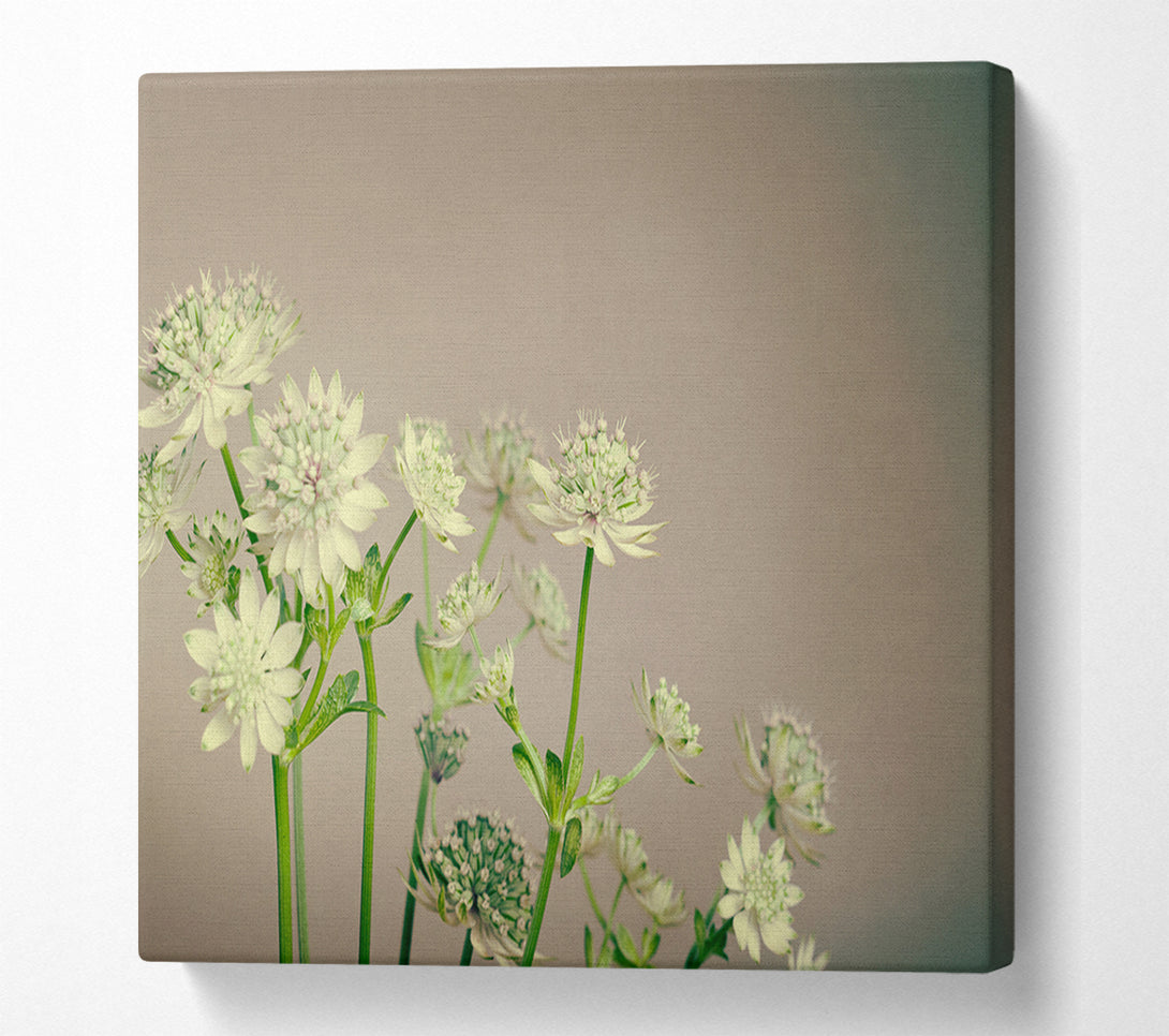  A Canvas Print of White flowes on the grey Canvas Art