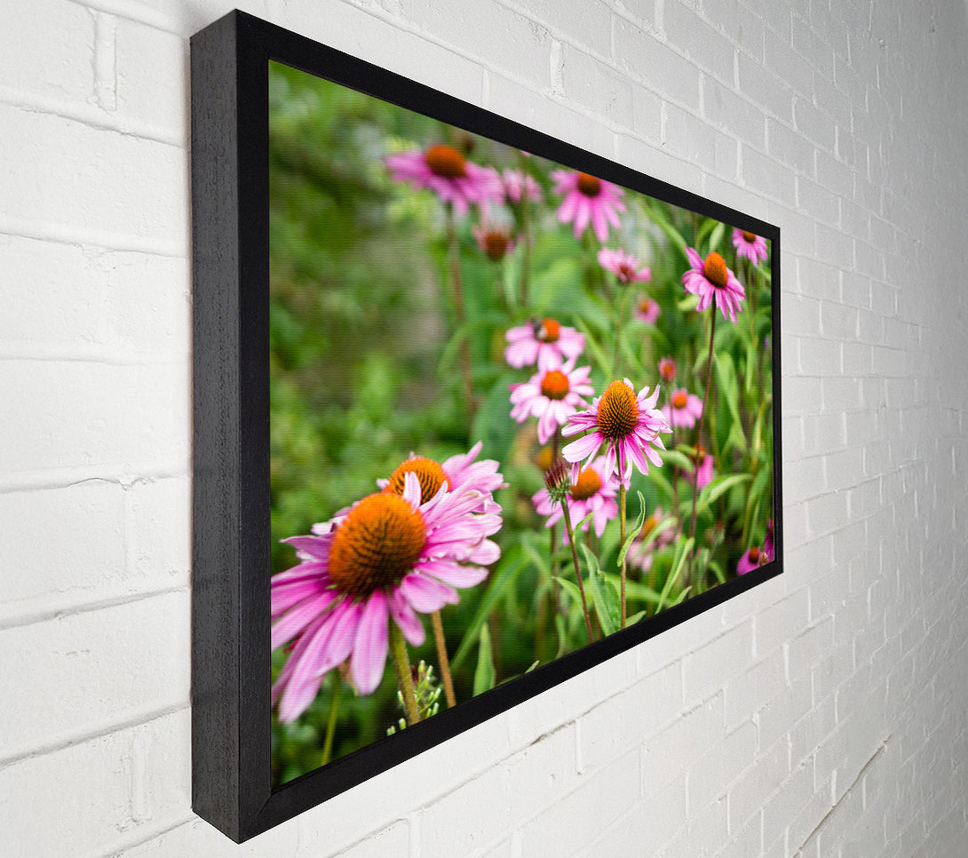  A Canvas Print of Pink flowers down below in the grass Canvas Art