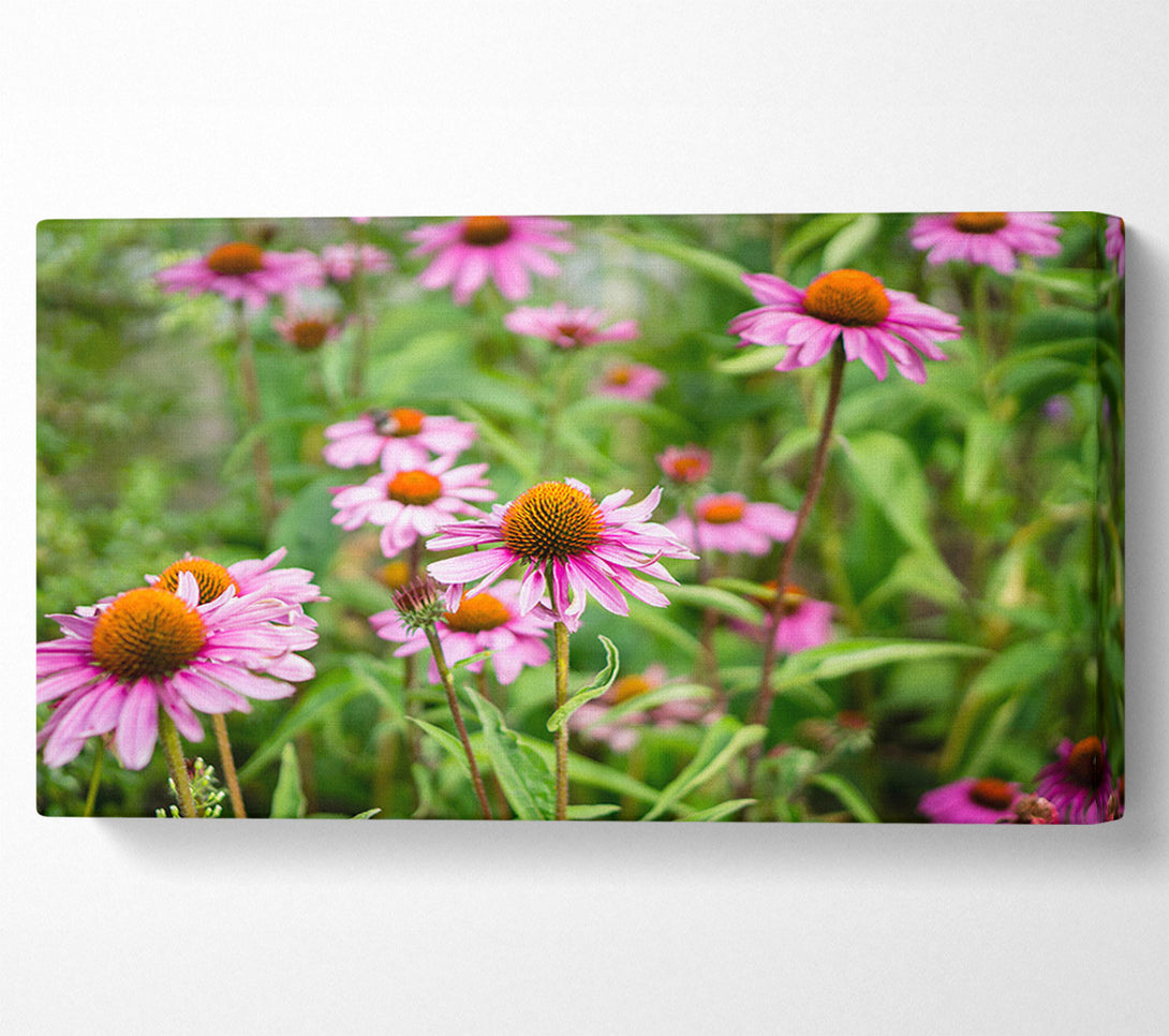  A Canvas Print of Pink flowers down below in the grass Canvas Art