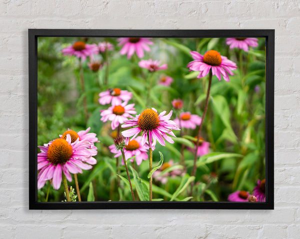 Pink flowers down below in the grass Framed Print