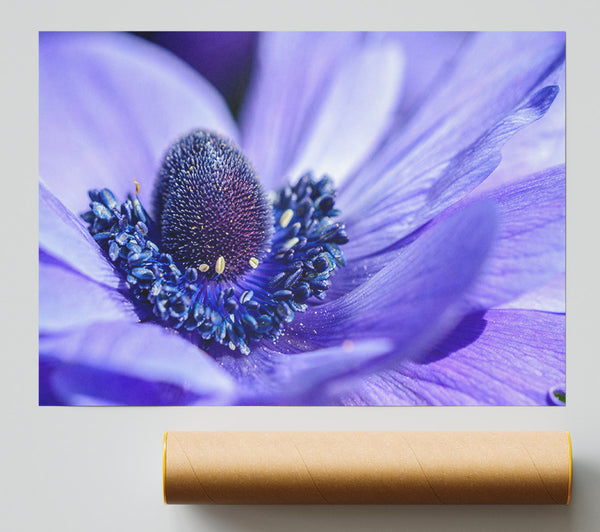 Purple Flower Inside Detail Giclee Print