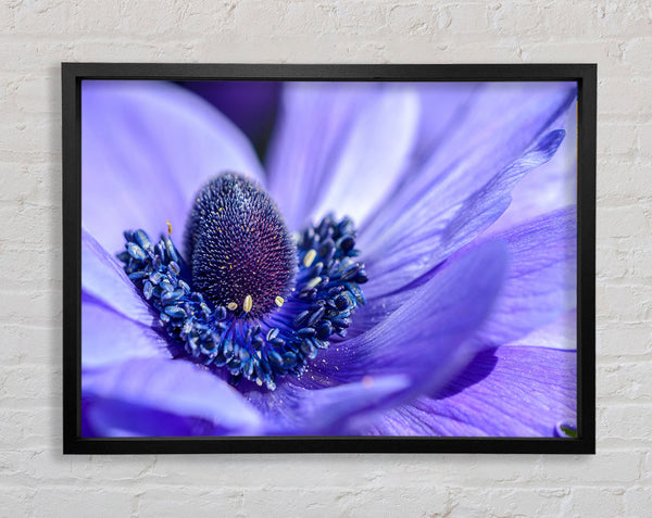 Purple flower inside detail Framed Print