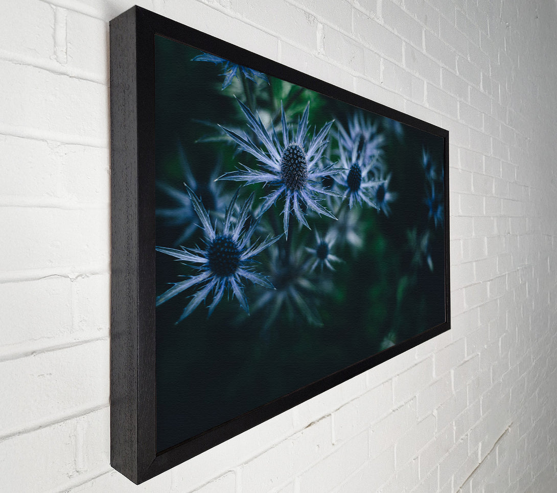  A Canvas Print of Spring thistle Canvas Art