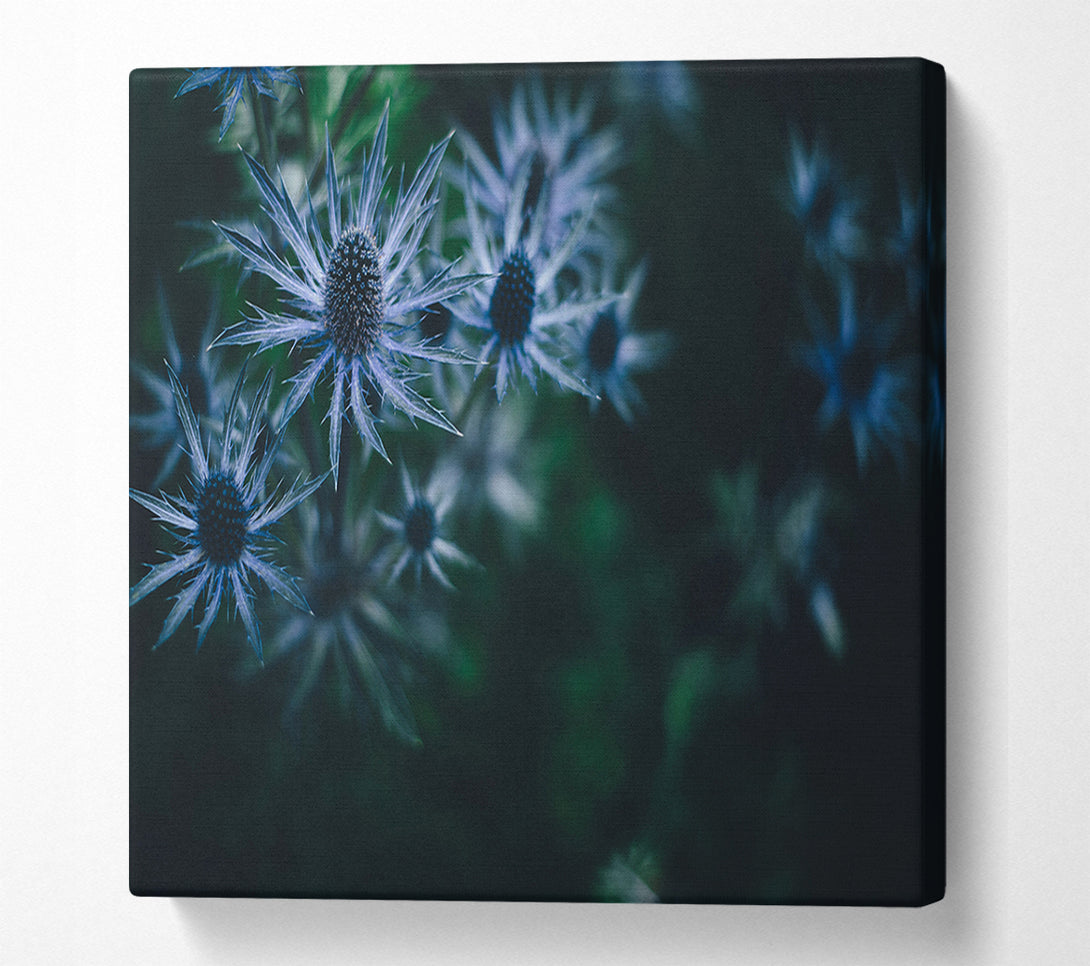  A Canvas Print of Spring thistle Canvas Art