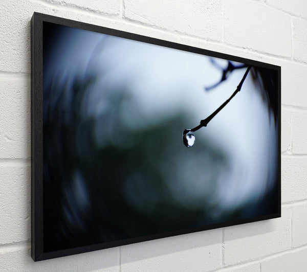 Singele droplet on a twig