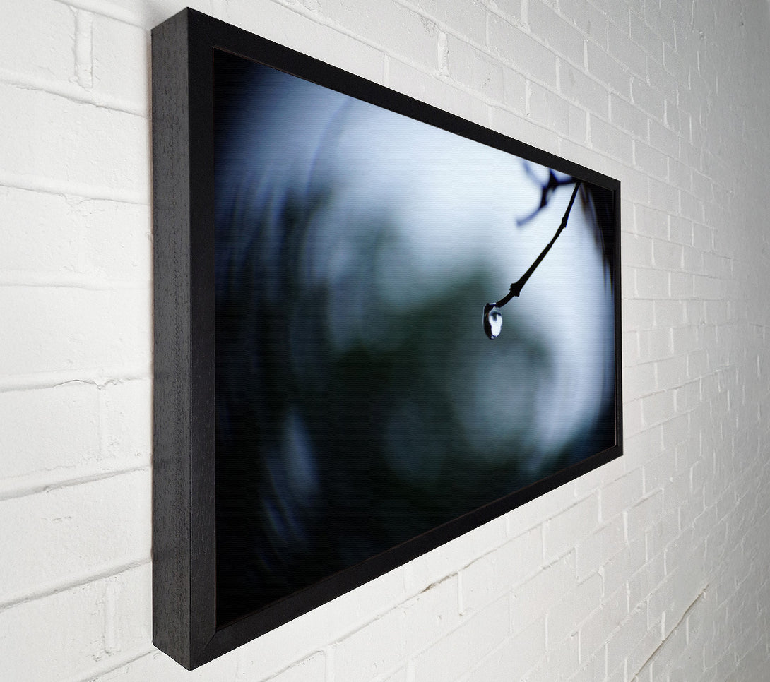  A Canvas Print of Singele droplet on a twig Canvas Print