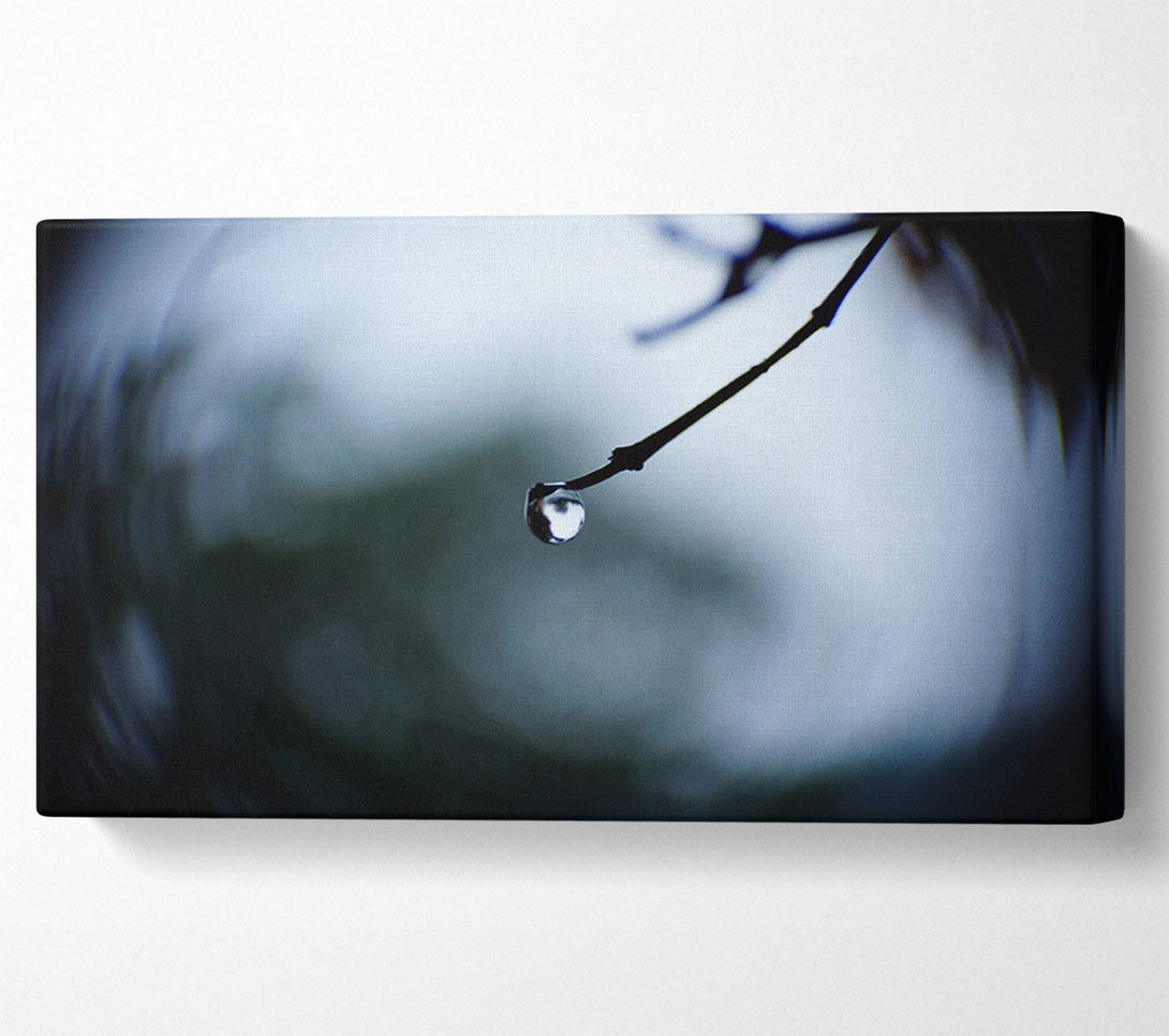  A Canvas Print of Singele droplet on a twig Canvas Print