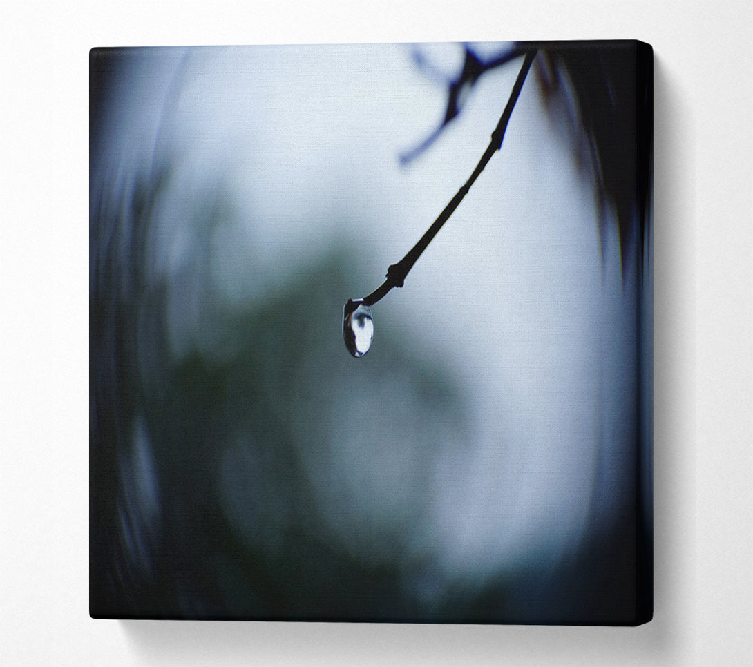  A Canvas Print of Singele droplet on a twig Canvas Print