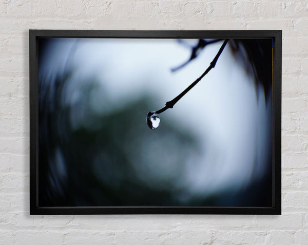 Singele droplet on a twig Framed Print