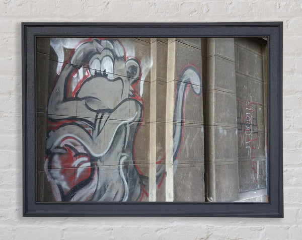 Monkey on the wall Framed Print