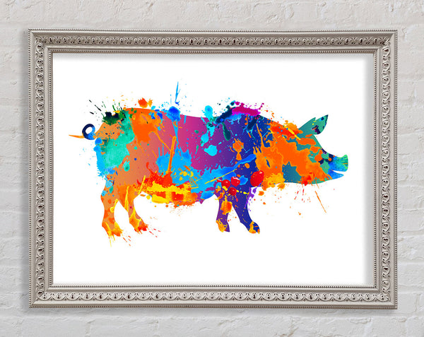 Colour splash Pig Framed Print