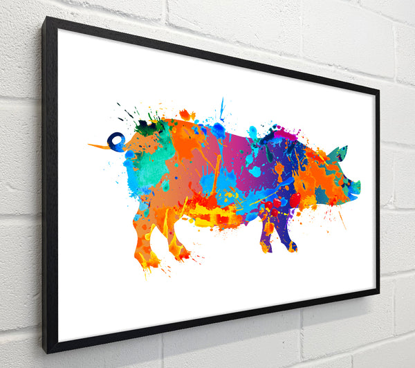 Colour splash Pig