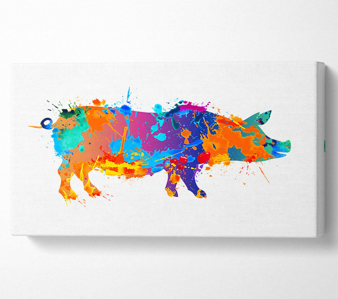  A Canvas Print of Colour splash Pig Canvas Wall Art