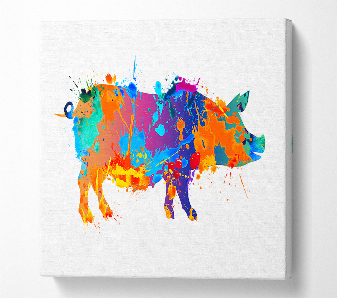  A Canvas Print of Colour splash Pig Canvas Wall Art