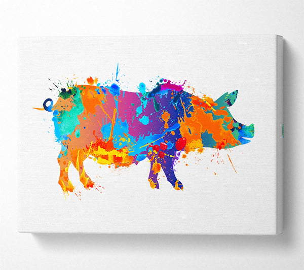  A Canvas Print of Colour splash Pig Canvas Wall Art