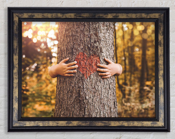Tree hugger Framed Print