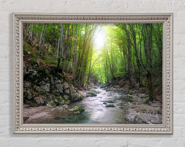 Green woodland stream walk Framed Print