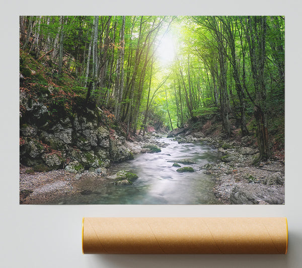 Green Woodland Stream Walk Print