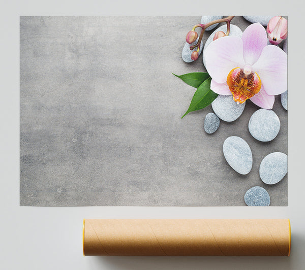 Orchid Beauty Zen Stones Poster