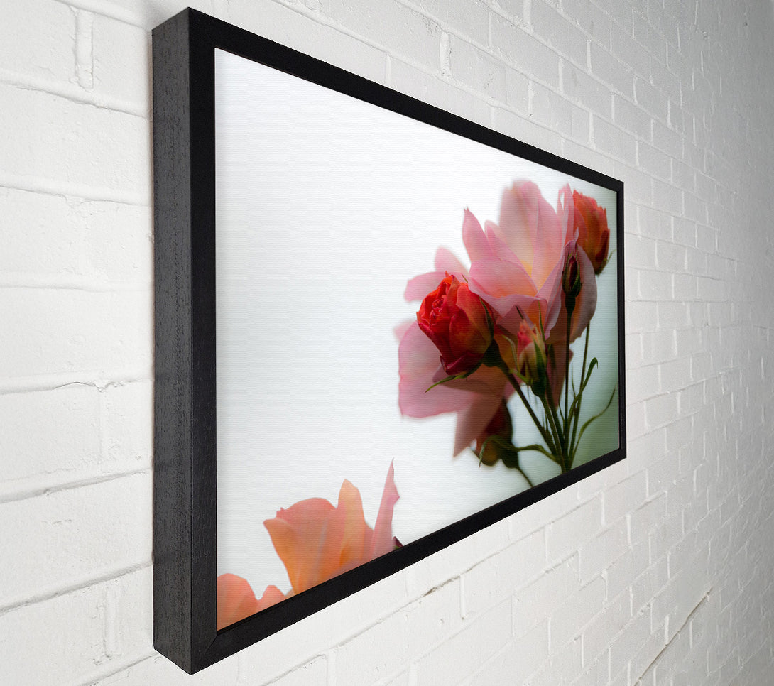  A Canvas Print of An array of pink flowers Canvas Print